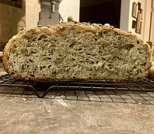 Seeded Oat Bread